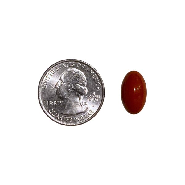 life extension pill